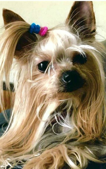 Gia Ninoska Matos 
